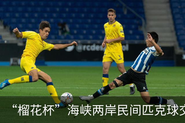 “榴花杯”海峡两岸民间匹克球交流赛在云南省玉溪开赛