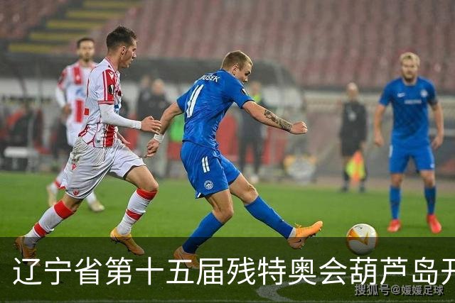 辽宁省第十五届残特奥会葫芦岛开赛 356名健儿参与角逐